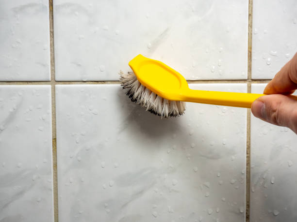 Reliable Millersburg, PA Mold Removal Solutions