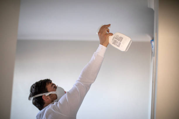 Certified Mold Removal in Millersburg, PA