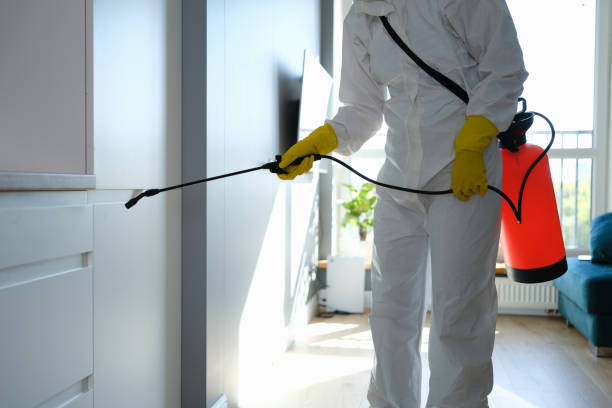 Best Office Mold Removal Services  in Millersburg, PA