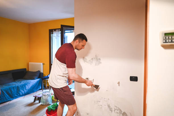 Best Mold Testing  in Millersburg, PA